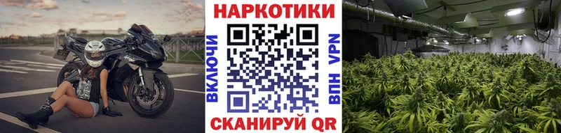 Купить закладку Конопля A PVP КОКАИН ГАШИШ АМФ Мефедрон Саров